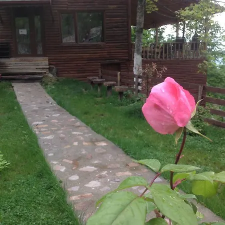 Hotell Ugurlubey Dag