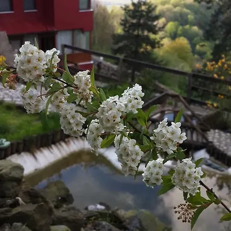 Ugurlubey Dag Hotell