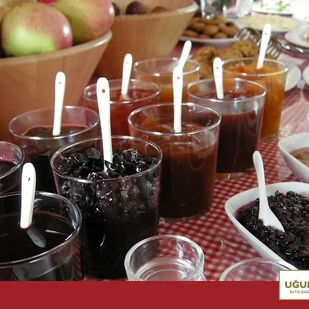 Hotell Ugurlubey Dag Yanık
