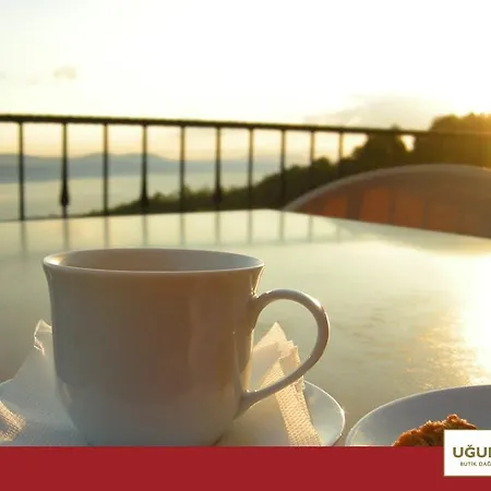 Ugurlubey Dag Yanık